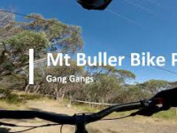 Mt Buller Bike Park - Gang Gangs