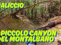 il piccolo canyon del Montalbano: TRALICCIO...