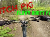 DITCH PIG | PIDHERNY REC SITE | INTENSE TAZER...