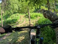 Kincaid Park - Good Greef
