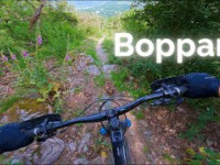 Trails around Boppard  |  MTB
