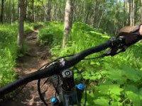 Kincaid Park - 'Rooty McRootersen'