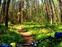 Mountain Biking the Guy Lafleur Trail,...