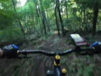 Birdsboro Black Dog 6-24-25