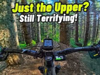 Short and Rugged | Upper Thrillium