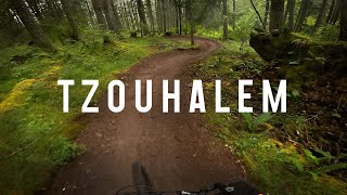 Tzouhalem Flow in the Fog