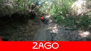 MTB Poggio Pelato 31 maggio sentiero ZAGO con...