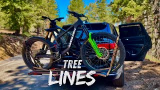 |Ep 70| Tree Lines |