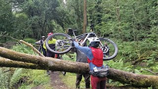 Exploring Forest Of Dean With JJ's MTB Diaries 