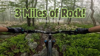 Got Soaked On This Ride! - Michaux 2025 06 15...