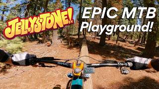 You’ve Gotta Ride This! Jellystone Jump...