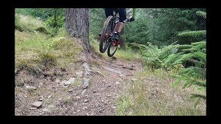 Cademuir Kamikaze