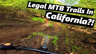 These Are Some Of The Best MTB Trails In The...
