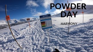 EPIC BLUEBIRD POWDER DAY @ WHISTLER on Harmony...