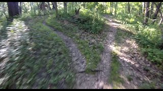 Jubilee College State Park MTB trail - 'Log'