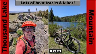 Thousand Lake Mountain with lots of bear...