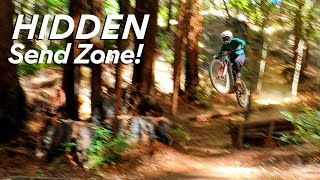 Unexpected Jumps on a New MTB Trail – What a...
