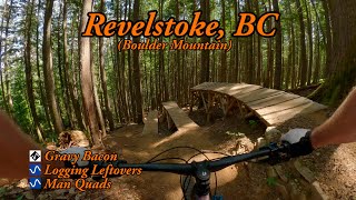 One of my MTB Fav's in Revelstoke, BC - Gravy...
