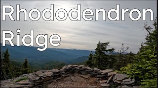 The Next Falls Creek? A hidden gem in the Mt....