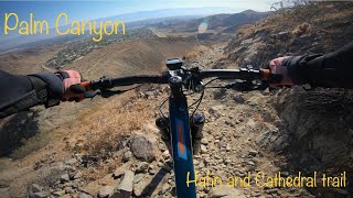 Palm canyon trail hahn and cathedral trail...