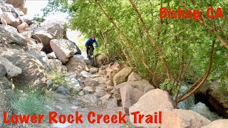 Lower rock creek trail downhill shuttle Bishop...