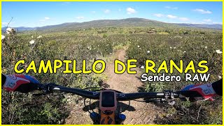 Sendero Campillo de Ranas RAW ​ Living...