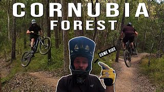 RAW OG style mountain bike trails