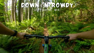 Down 'N Rowdy / Olympia, CA / MTB