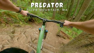 Predator / Tiger Mountain, WA / MTB