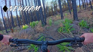 Flagstaff Trail Guide: Newham