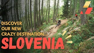 SLOVENIA - OUR CRAZIEST DESTINATION EVER ? 