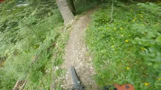 Delirium, Gresse en Vercors, Isère, France