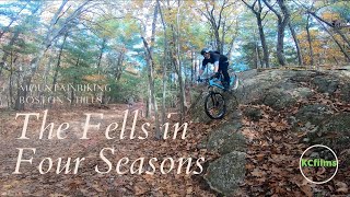 The Fells in Four Seasons