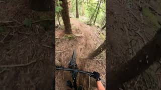 MooseHouse - Park City, UT - MTB Trail...