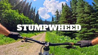 Stumpwheed | Mt. Morrisey | Sun Peaks