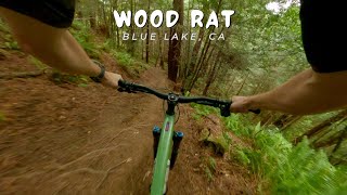 Wood Rat / Blue Lake, CA / MTB