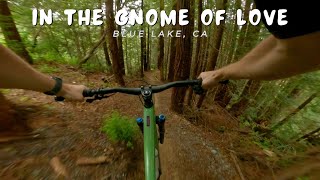 In the Gnome of Love / Blue Lake, CA / MTB