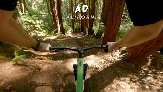 AD / California / MTB | following @peet013