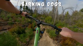 California / MTB