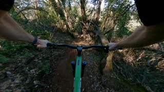 California / MTB