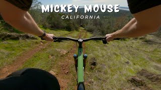 Mickey Mouse / California / MTB
