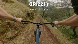 Grizzly / Auburn, CA / MTB