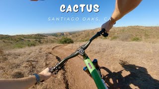 Cactus / Santiago Oaks, CA / MTB