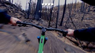 **** / Reno, NV / MTB
