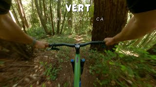 Vert / MTB