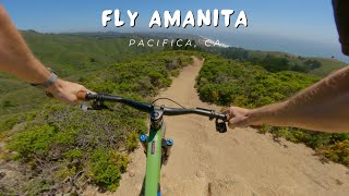 Fly Amanita / Pacifica, CA / MTB