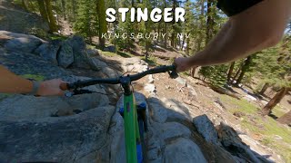 Stinger / Kingsbury, NV / MTB