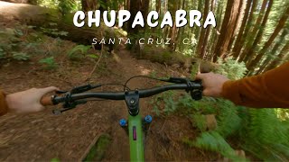 Chupacabra