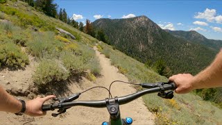 Tahoe Rim Trail: Freel Pass / South Lake...