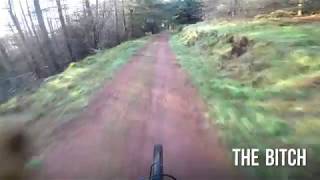 The Bitch Glentress